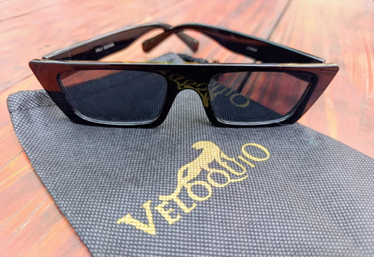  Lentes de Sol negros 